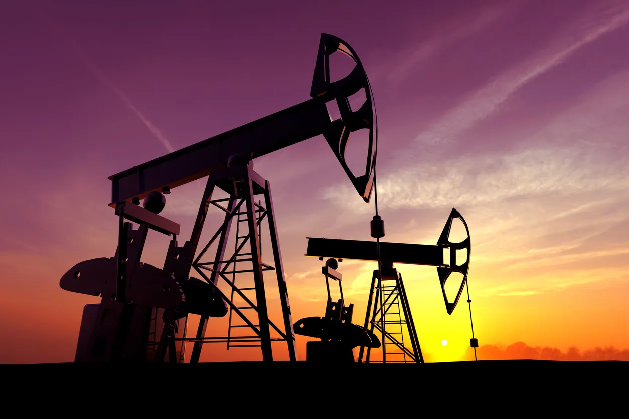 Mardin ve Şırnak'tan da petrol müjdesi
