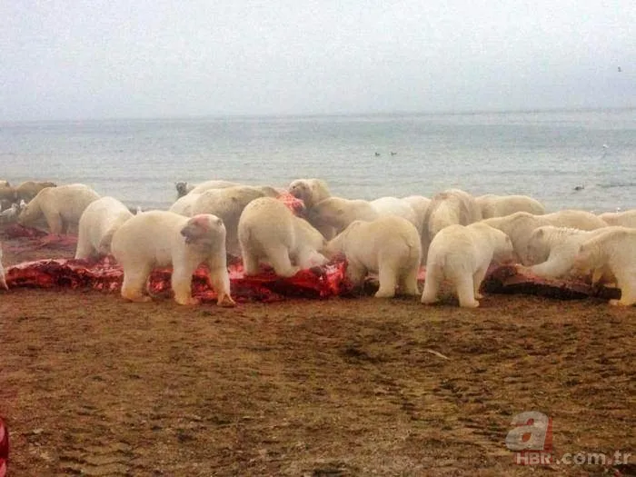 Son dakika: TikTok videosu çekmek için hayatlarını hiçe saydılar! Genç kızlar... 10
