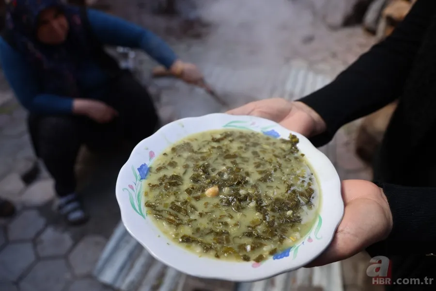 Yılda sadece iki ay toplanıyor! Zehirden şifaya mucizevi dönüşüm 8