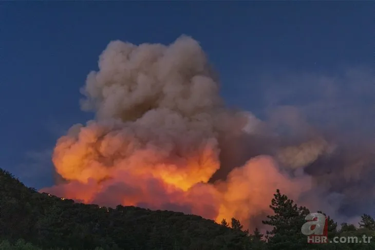 ABD’deki yangın 3 gündür devam ediyor! 20 bin dönüm ormanlık alan küle döndü