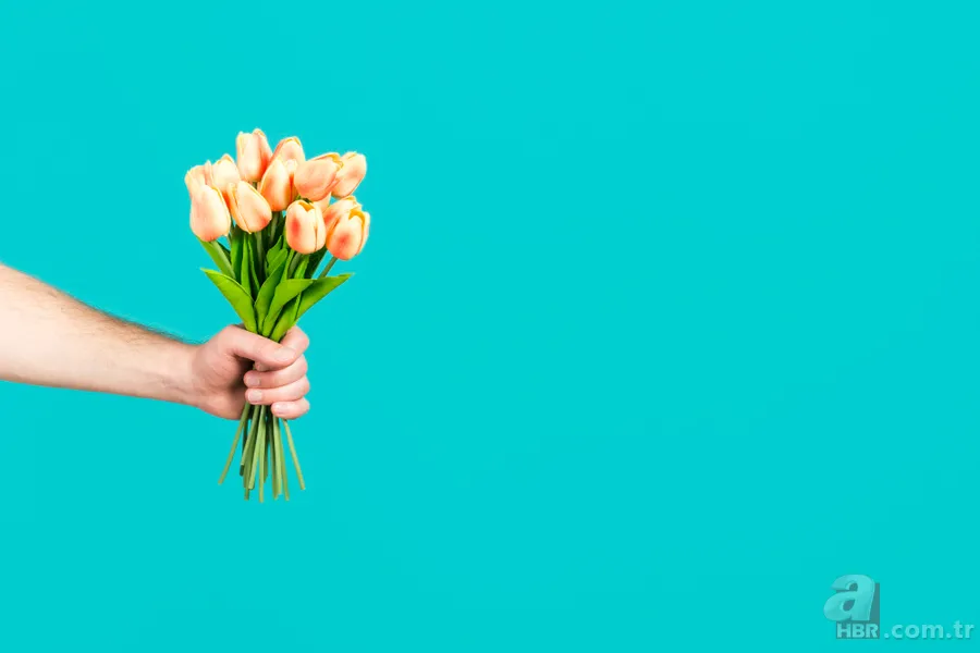 8 Mart Kadınlar Günü Kutlama Mesajları 2024 🧕 👩 | En Güzel, Kısa, Uzun, Resimli, Duygusal Mesajlar Hepsi Burada! Instagram, Twitter(X), WhatsApp 5