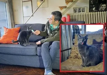 4 kulağıyla fenomen oldu! Midas tüm dünyanın gözdesi