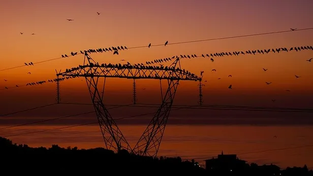 bedas-elektirk-kesintisi-listesi-28-kasim-istanbulda-elektrikler-saat-kacta-gelecek-iste-kesinti-bolgeleri-ve-1669616023636.jpg BEDAŞ elektirk kesintisi listesi: 28 Kasım İstanbul'da elektrikler saat kaçta gelecek? İşte kesinti bölgeleri ve saatleri - 9