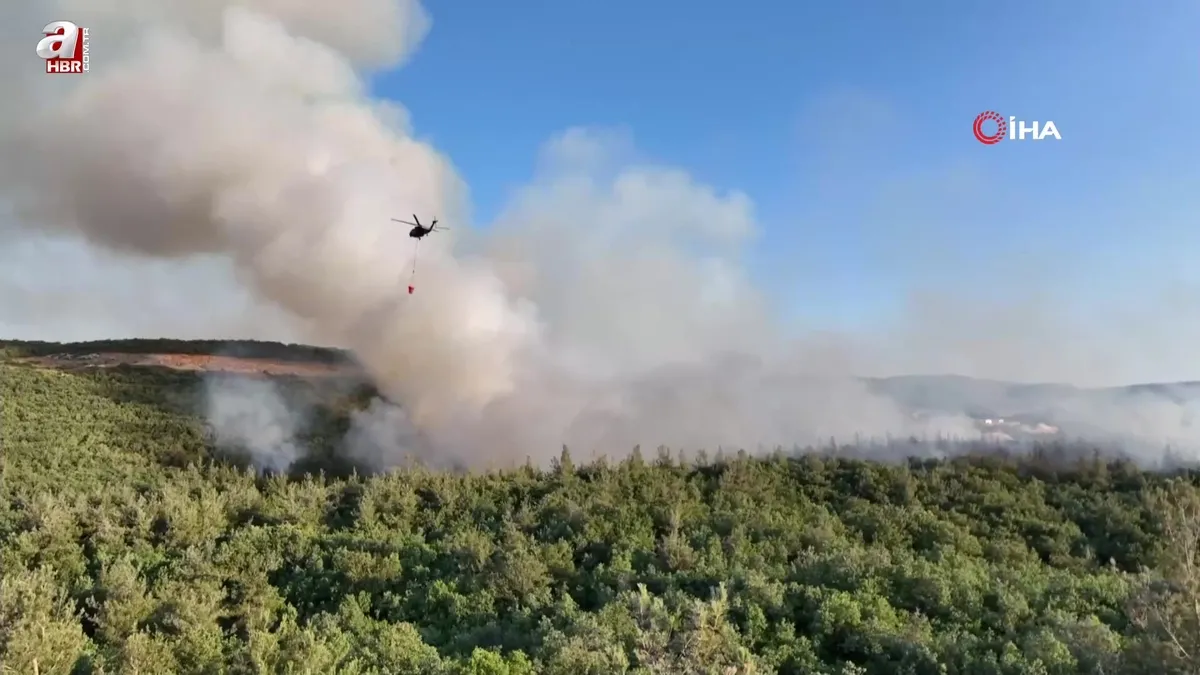 Bursa'da orman yangını