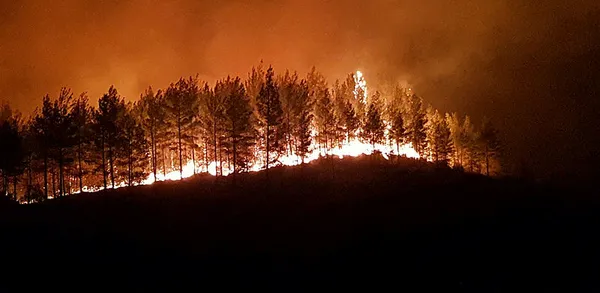 1628002746949.jpg Yangın bölgelerinde hava ne zaman serinleyecek? Rüzgar ne zaman yön değiştirecek? Cengiz Çelik A Haber'de açıkladı - 2