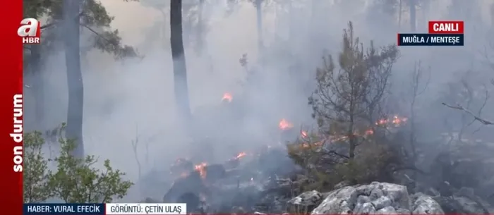 mugla-mentesede-orman-yangini-a-haber-bolgede-1725715632537.jpg