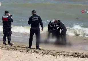 Arnavutköy Sahili'nde erkek cesedi bulundu