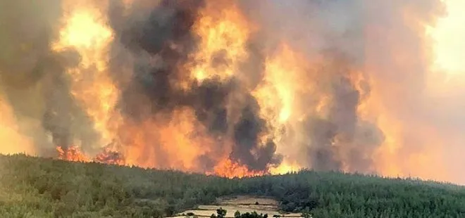 Aydın’da çıkan yangın Muğla’ya sıçradı: 3 mahalleye giden yol kapandı