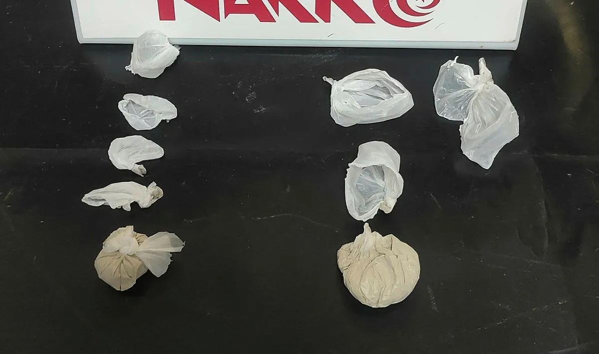 İstanbul Muğla ve Zonguldak'ta uyuşturucu tacirlerine operasyon