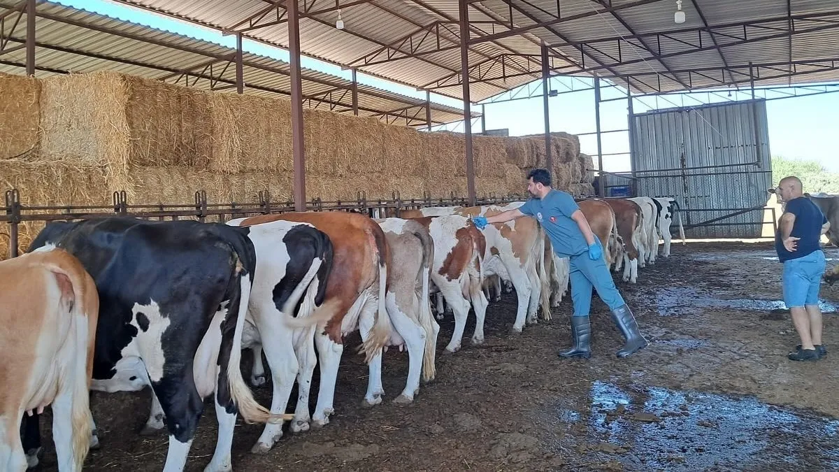 Nazilli'de 14 mahalle karantinaya alındı