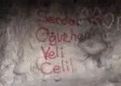 Sprey boyalarla bu hale geldi