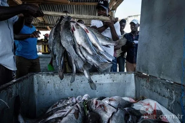 İşte dünyanın en kalabalık adası: Migingo Adası 10