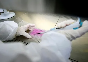 Yerli aşıda tarih belli oldu! Tüm detaylar ortaya çıktı