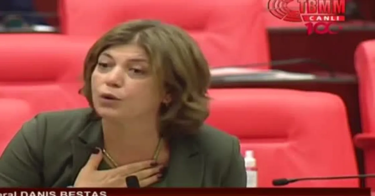 HDP'li Meral Danış Beştaş Tuma Çelik ve Mensur Işık'ı savundu