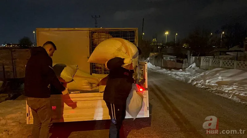 Şehir merkezine indiler! Görenler şaştı kaldı 6