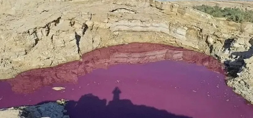 Ölü Deniz’in yanı başında! Son hali ekipleri harekete geçirdi