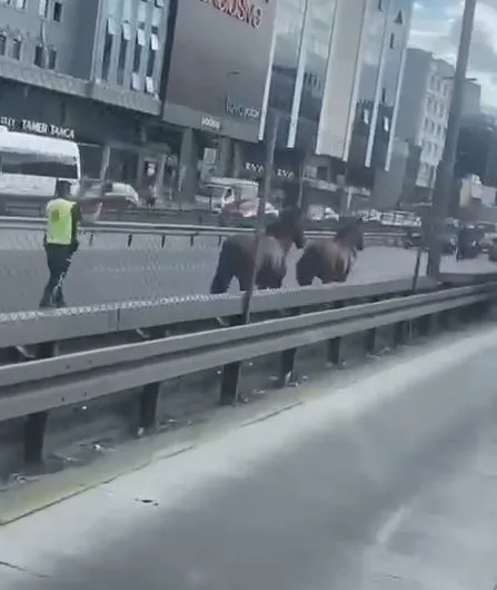 1694422751350.jpg Avcılar’dan Bakırköy’e kadar koştular! İstanbul'da ilginç görüntü: Trafiği birbirine kattılar - 4