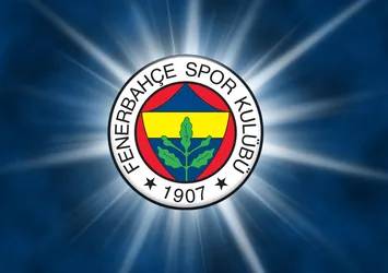 Emenike ve Van der Wiel affedildi