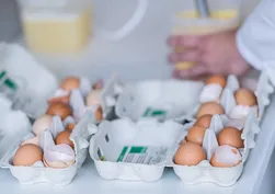 FDA, salmonella bakterisi şüphesi nedeniyle Texas kaynaklı yaklaşık 1,6 milyon düzine yumurtanın geri çağrıldığını açıkladı