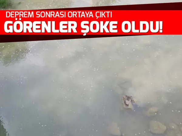 15 dakika önce satın aldığı araba alev alev yandı - 1