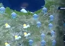 Hangi illerde yağış bekleniyor?