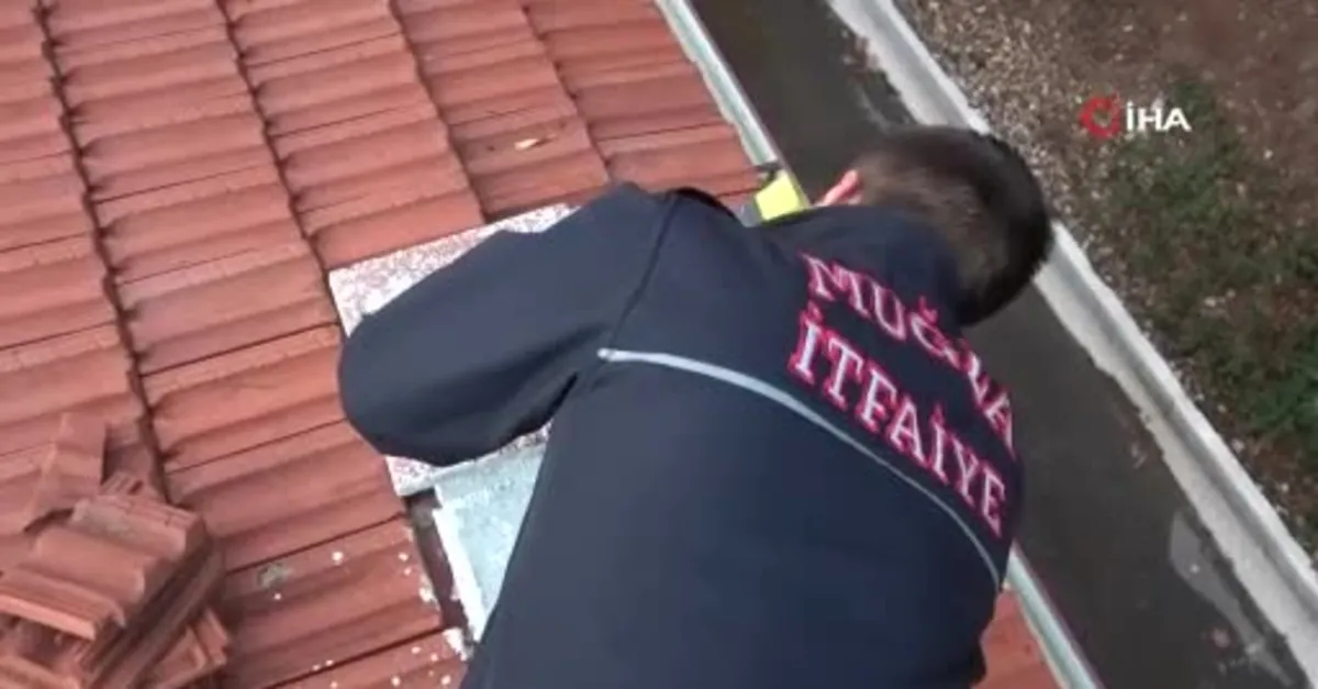 Baca yangınlarına dikkat