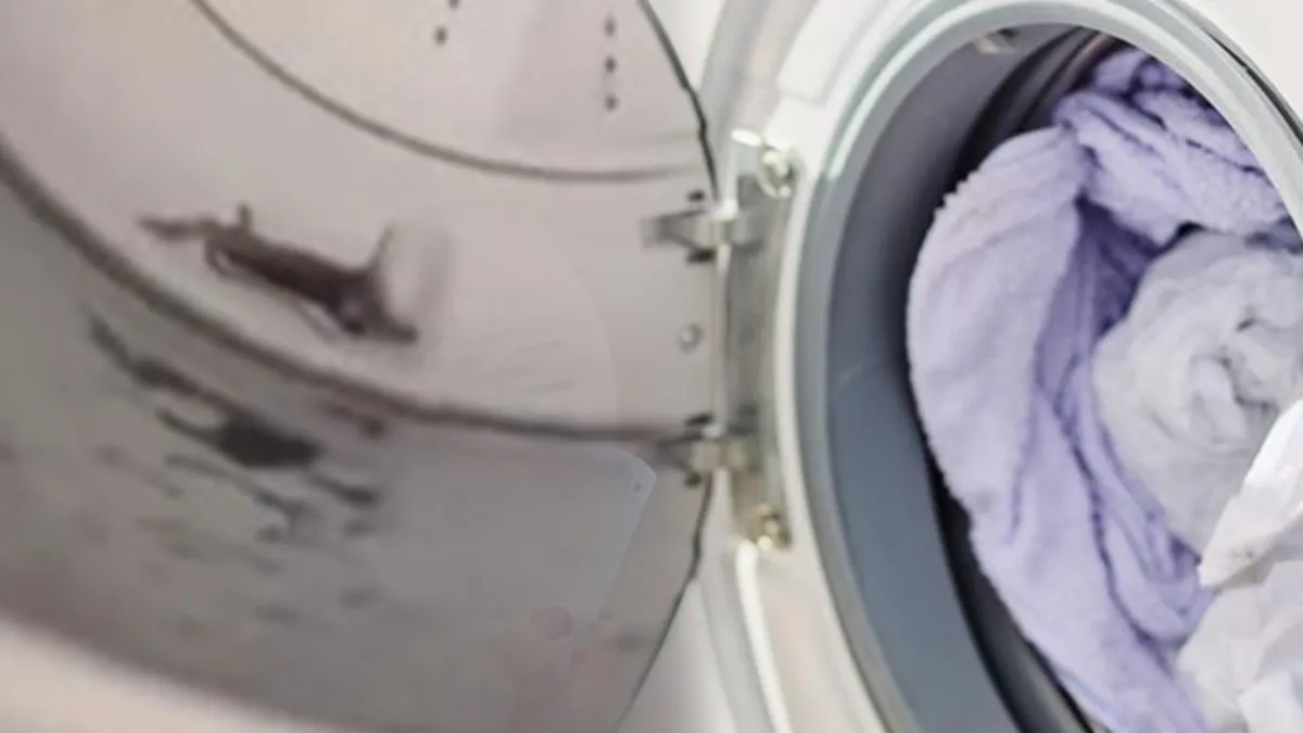 Çamaşırları kötü kokuyordu! Makinesinden öyle bir şey çıktı ki...