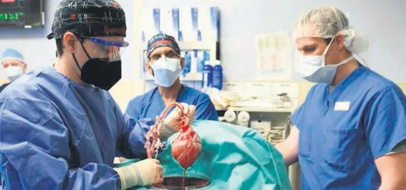 Herkes insana domuz kalbi naklini konuşuyor! Operasyonun esin kaynağı Türk doktor Burçin Ekser konuştu: İnsan hücresinden organ üreteceğiz