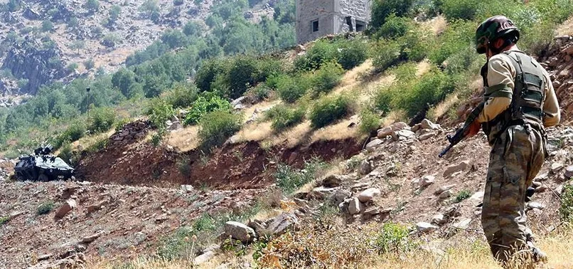 Bitlis'te 4 terörist etkisiz hale getirildi