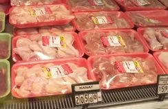 Tavuk fiyatları düştü mü?