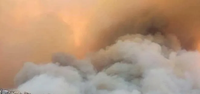 Son dakika: Cezayir’de çıkan orman yangınlarında 42 kişi hayatını kaybettti