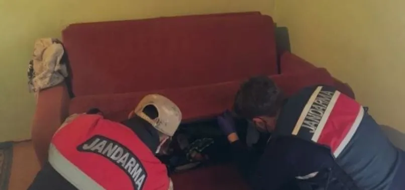 Son dakika: PKK/KCK terör örgütünün hücre yapılanmasına operasyon: 15 gözaltı