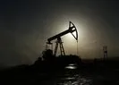 Bakan Dönmez’den petrol müjdesi açıklaması