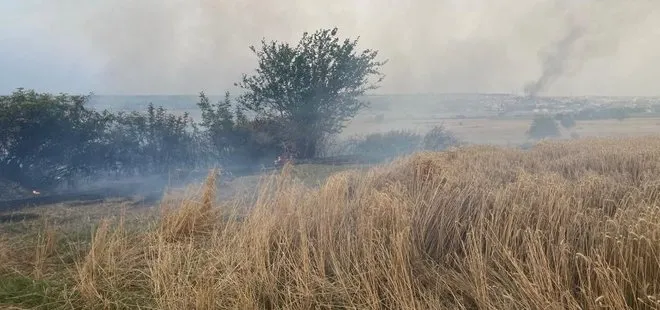 Edirne’de 40 dönüm buğday tarlası ve 500 saman balyası yandı: 2 saatte kontrol altına alındı