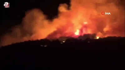 Çanakkale’de orman yangını