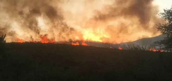 Tarım ve Orman Bakanlığından ’yangın’ açıklaması