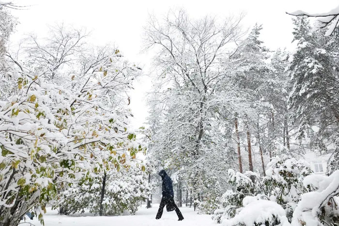 sicakliklar-dusuyor-saganak-yolda-yilbasinda-kar-yagacak-mi-meteoroloji-yeni-tahminleri-paylasti-1766128834947.jpg AA