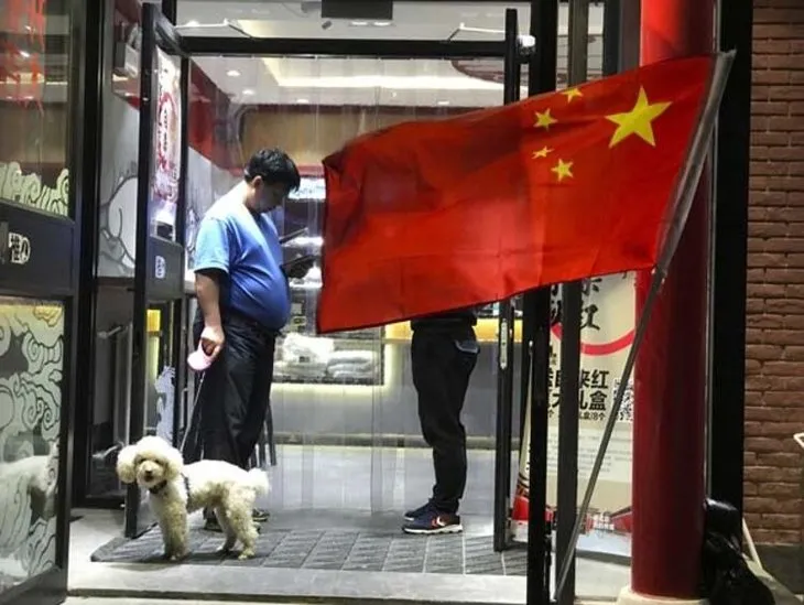 Çin akıllanmıyor! Tepkilere rağmen köpek eti festivali başladı...
