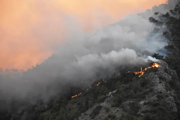 AK Parti Sözcüsü Ömer Çelik’ten Adana’da yangınlara yönelik son dakika açıklamaları