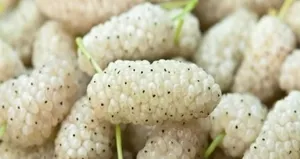 Vücudu iltihaplardan arındıran besin...