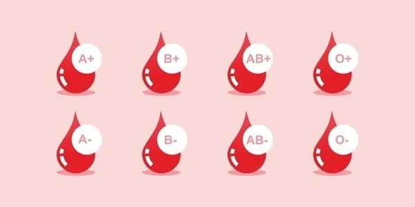 En zeki kan grubu açıklandı! Bu kişilerin IQ’su yüksek çıkıyor! A Rh +, 0 Rh -, AB, B, 0 kan grubu özellikleri...
