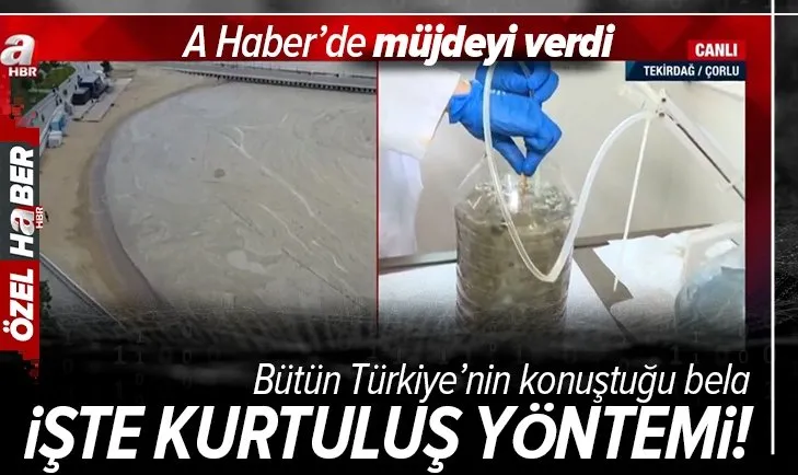 Marmara Denizi'ndeki müsilaj için yeni umut: Reaktif oksijen! Uzman isim A Haber’de anlattı