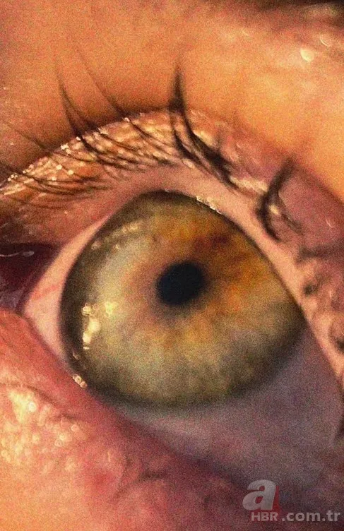 Survivor'da yasak aşk iddiası: Efecan Dianzenza eski eşine şarkı yaptı! 6