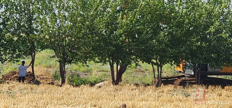 Kayıp Narin bulundu mu? Amca Salim Güran neden tutuklandı? Cesetsiz cinayet tartışması | İşte detaylar 11
