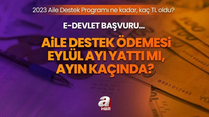 2023 Aile Destek Programı ne kadar, kaç TL oldu? Aile Destek Ödemesi Eylül ayı yattı mı, ayın kaçında? E-Devlet başvuru...