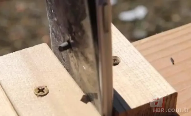 Lamborghini ile oynanan tehlikeli oyun 25