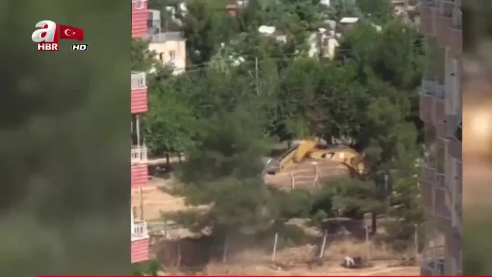 HDP’li Batman Belediyesi’nden ağaç katliamı | Video