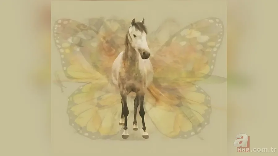 Kişilik testi: İlk fark ettiğiniz hayvan karakterinizin kodlarını veriyor 10