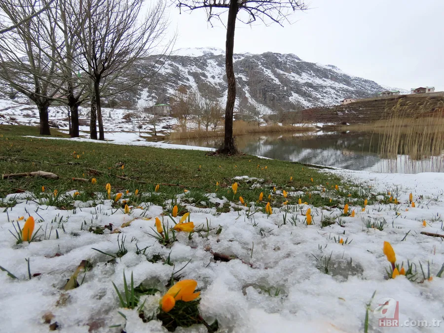 Toros Dağları'nda yaylalarda karlar erimeye başladı, çiçekler her yeri kapladı 6