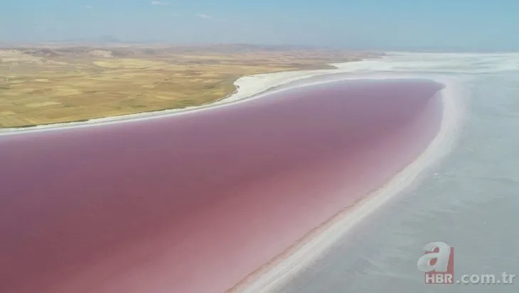 Tuz Gölü’nün kırmızı beyaz güzelliği